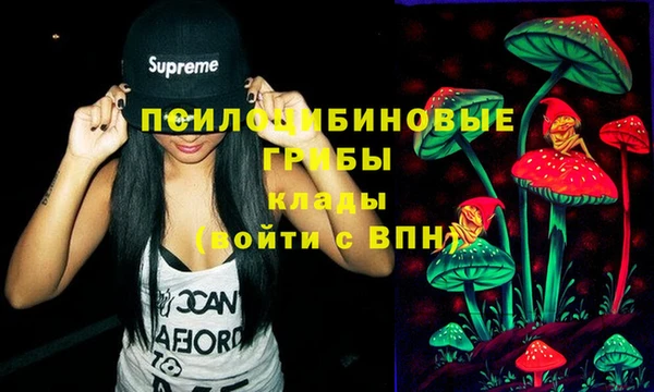 прущая мука Армянск
