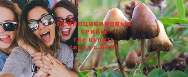 прущая мука Армянск