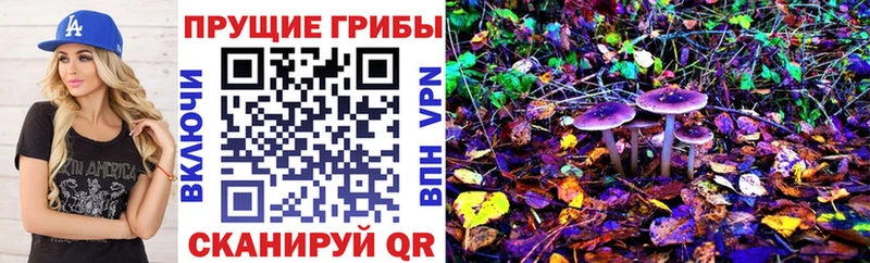 Галлюциногенные грибы GOLDEN TEACHER Орлов